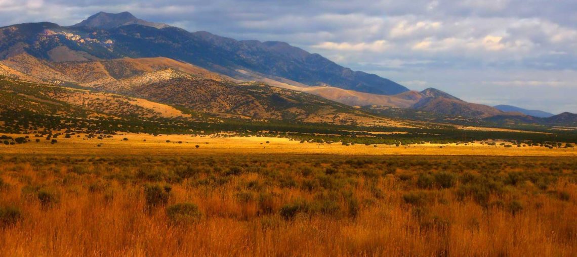 Mayfield Developments